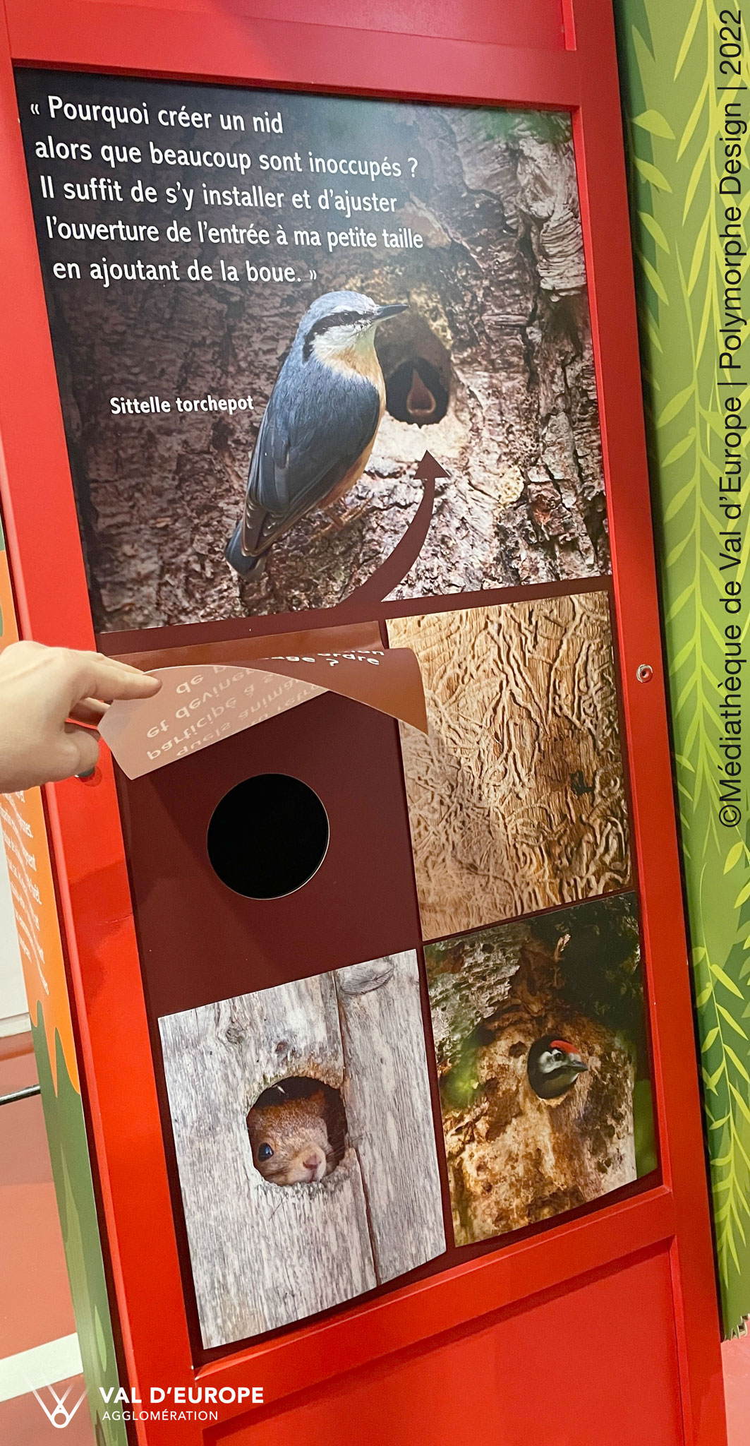 La Sitelle torchepot raconte : Pourquoi cr&eacute;er un nid alors que beaucoup sont inoccup&eacute;s ? Il suffit de s'y installer et d'ajuster l'ouverture de l'entr&eacute;e &agrave; ma petite taille en ajoutant de la boue.